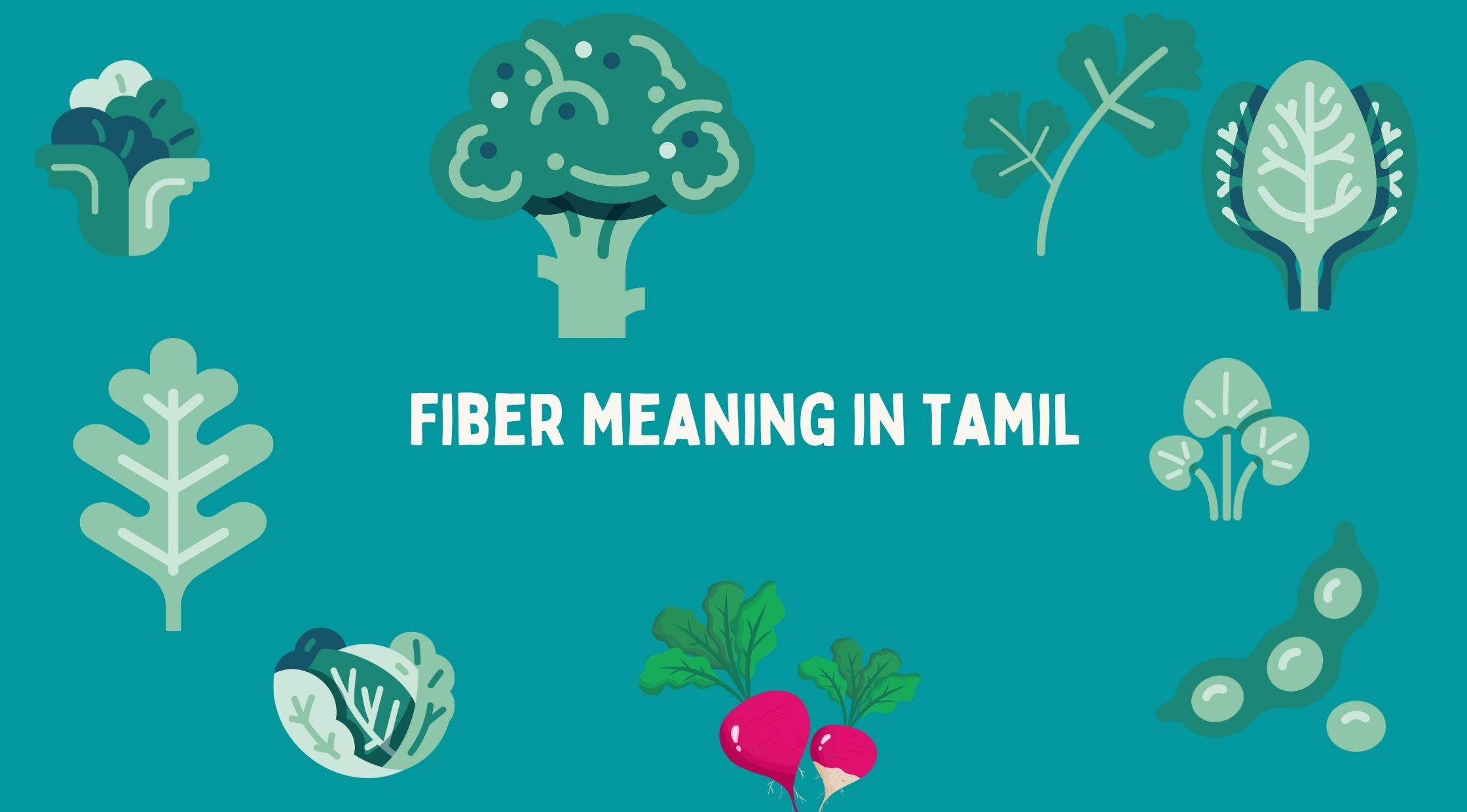 Fiber Meaning in Tamil